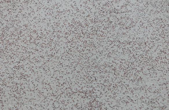 真石漆發(fā)白