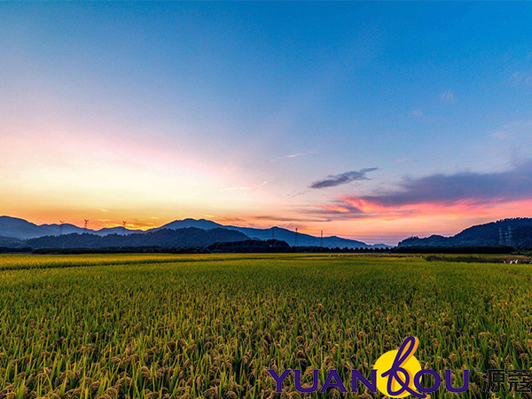 藝術涂料稻草漆